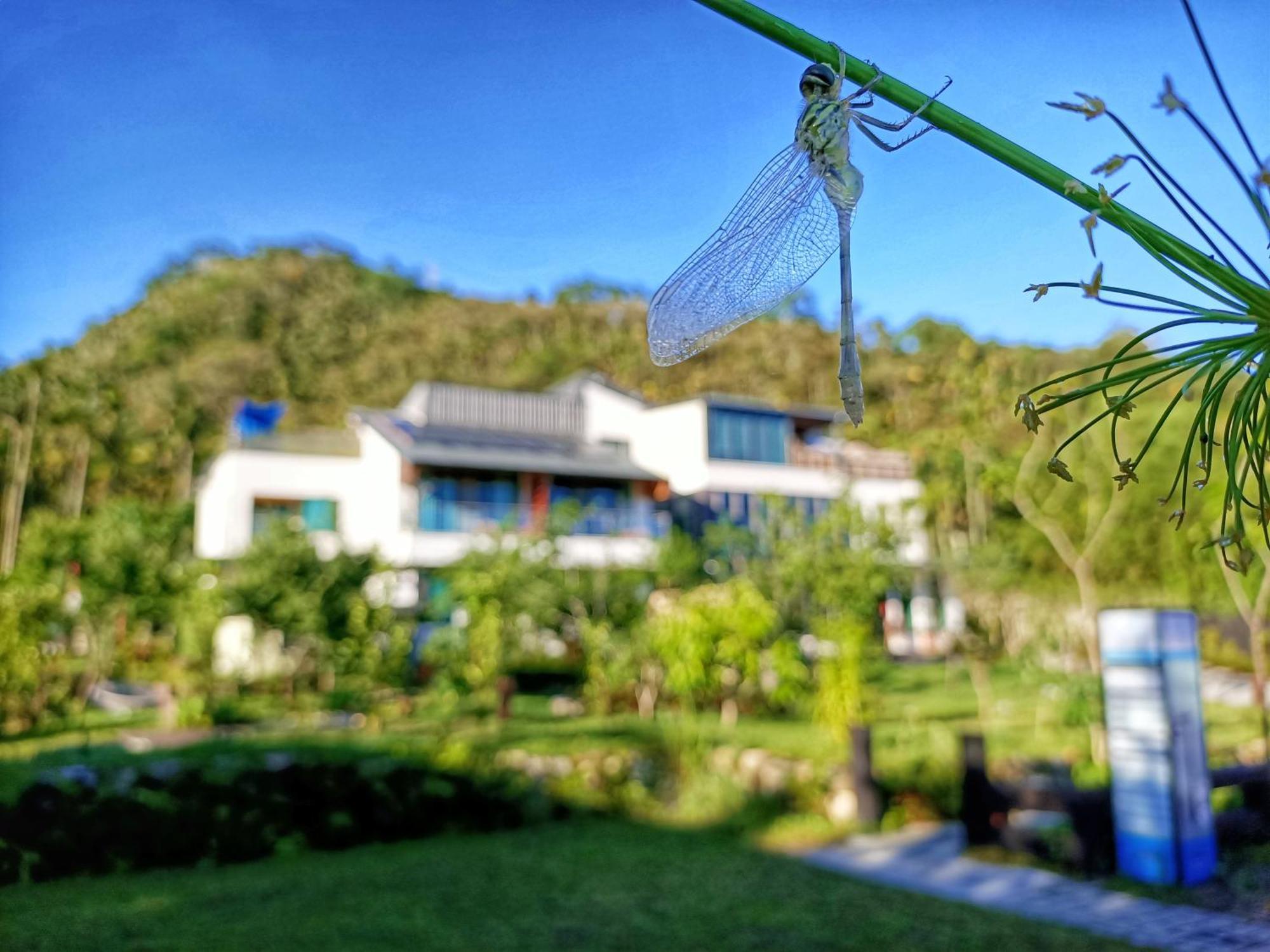 Roaming Cloud Sun Moon Lake B&B يوشيه المظهر الخارجي الصورة